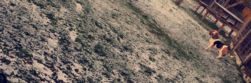 carys_maee's profile banner image
