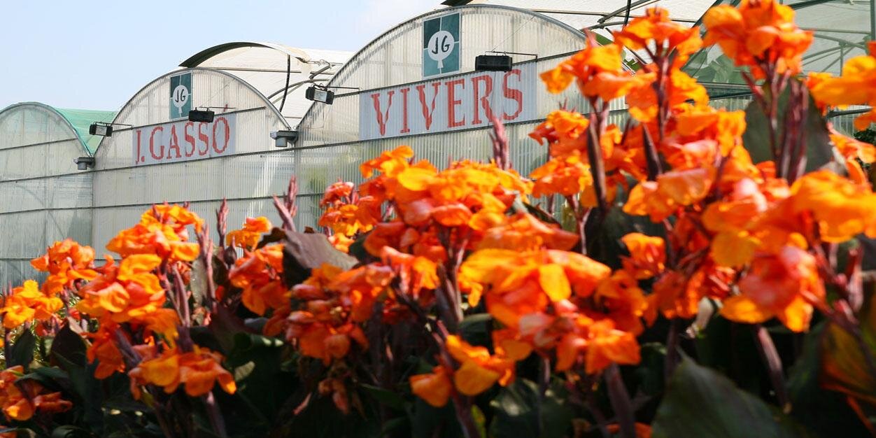 VIVERSGASSO's profile banner image