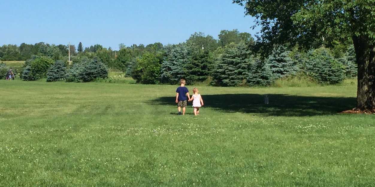 Patrick Brady banner