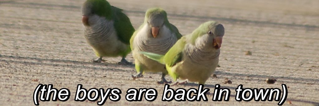 3azoozTS's profile banner image