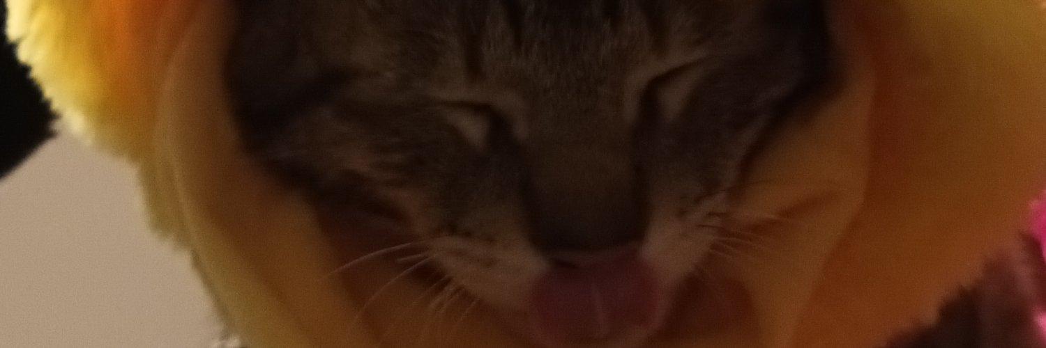 darkzgouv's profile banner image