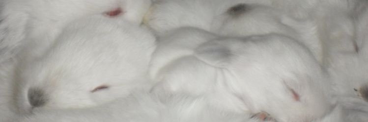 millacrdnl's profile banner image