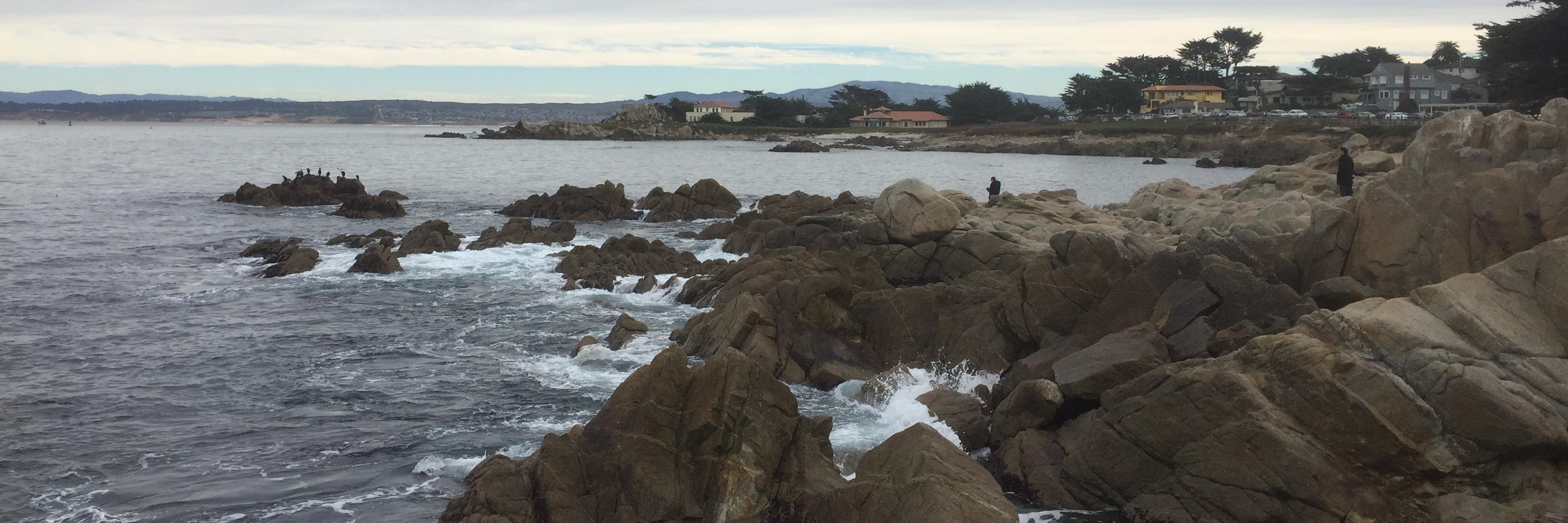 IrvSeq's profile banner image
