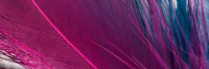 CullmanAshley's profile banner image