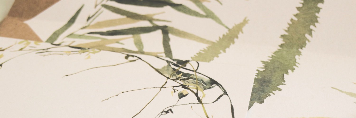 BlancoCanvas_'s profile banner image