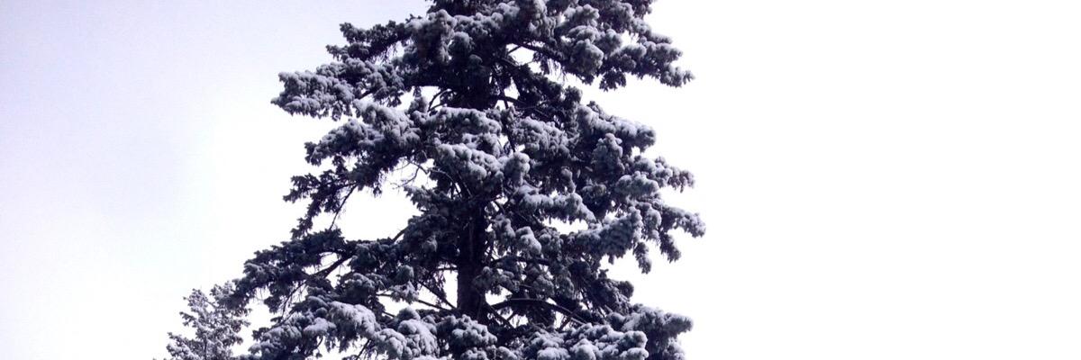 emmaserrano20's profile banner image