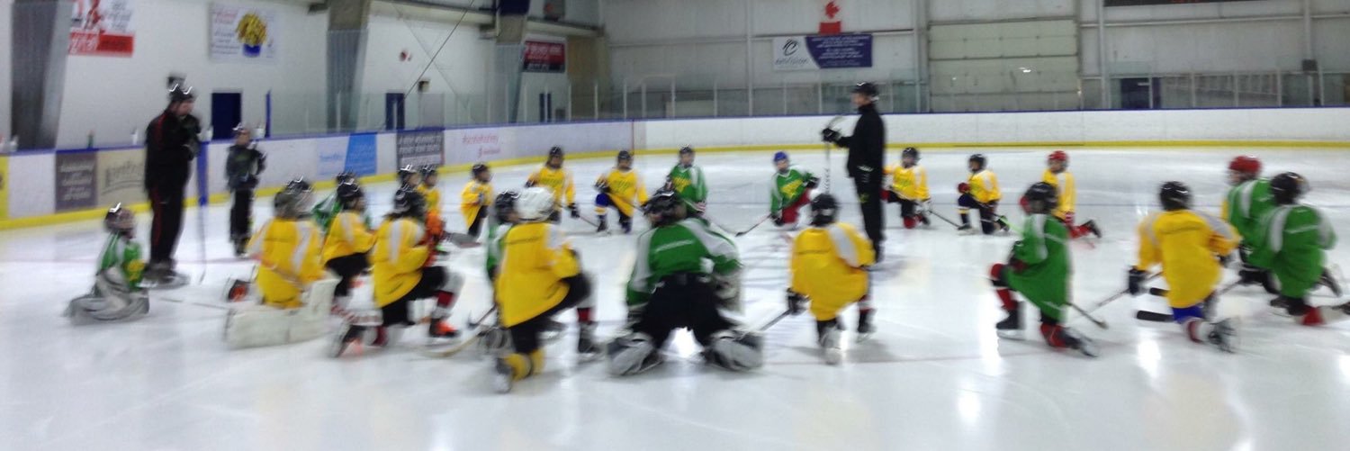 Airdrie_Stars's profile banner image