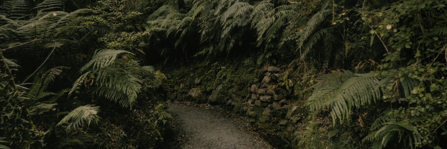 Elie Losleben Calhoun banner