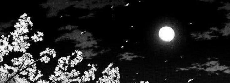 elysialunaaa22's profile banner image