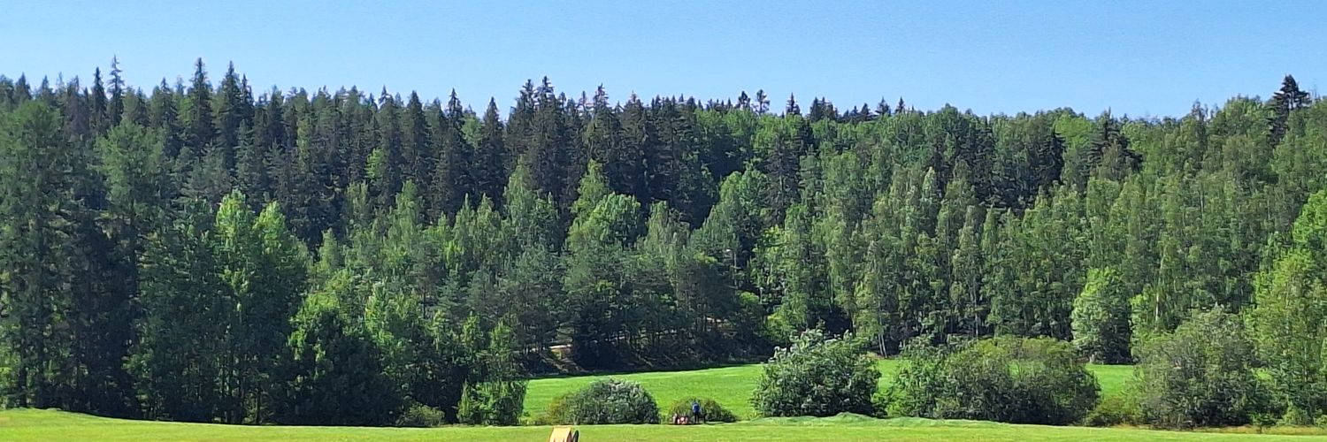 VetelainenMerja's profile banner image