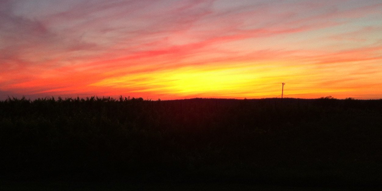 Marisa Ferger banner