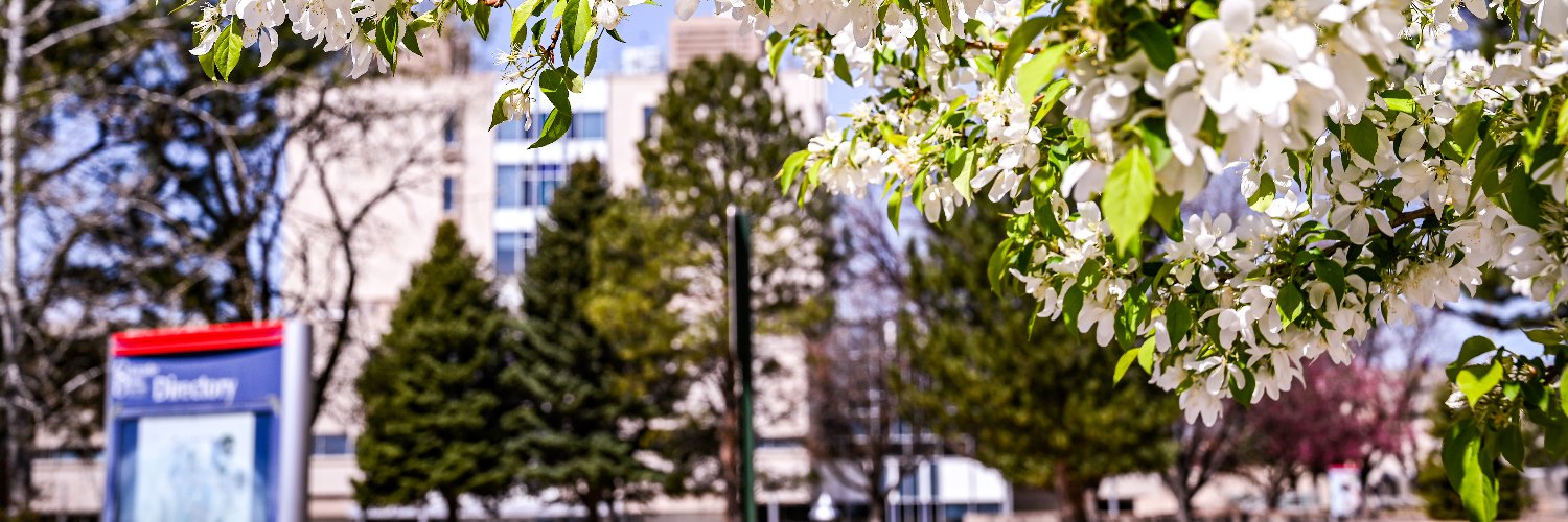CSUPFoundation banner