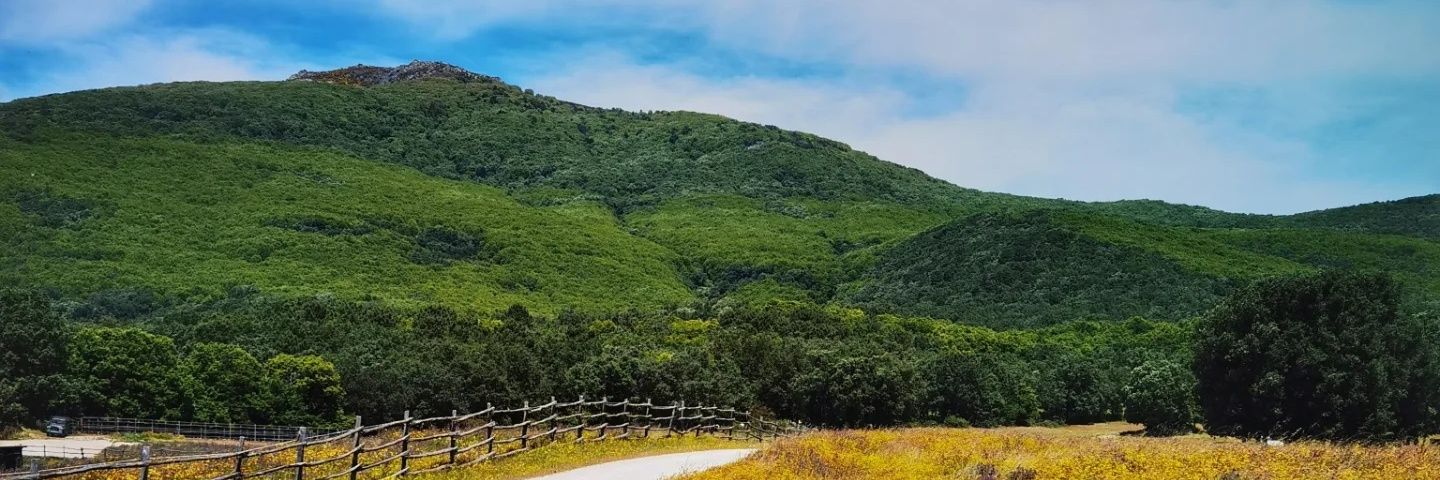 heyluk2's profile banner image