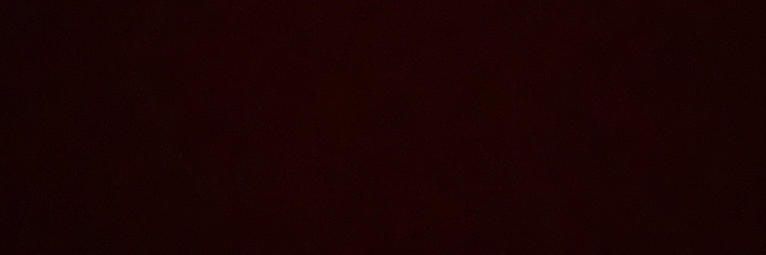 baebae HopefulBroncoFan daniels banner