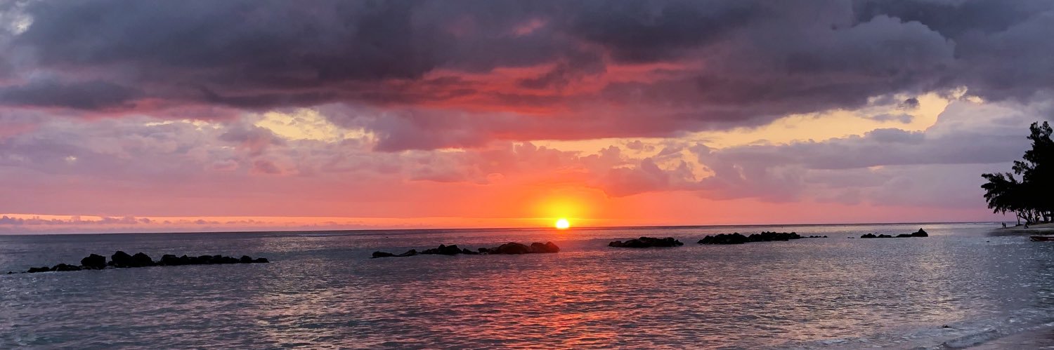 Ellen Rebecca banner