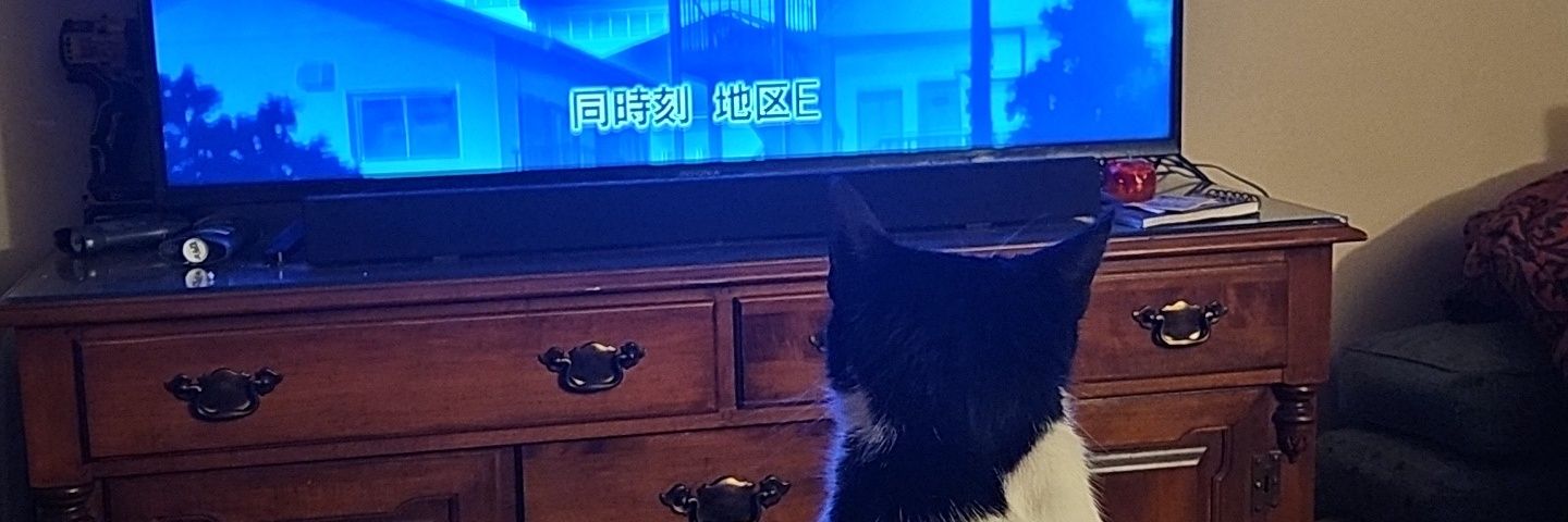 mebbles24's profile banner image