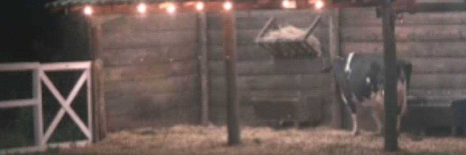JayMFBR's profile banner image