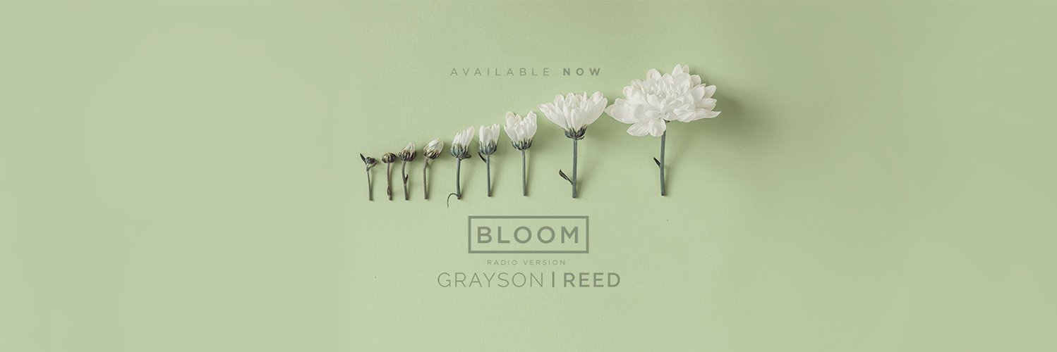 GRAYSON|REED banner