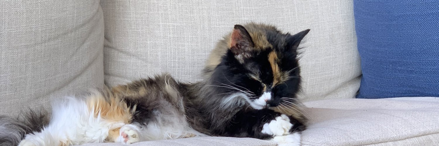 slykittyvikki's profile banner image
