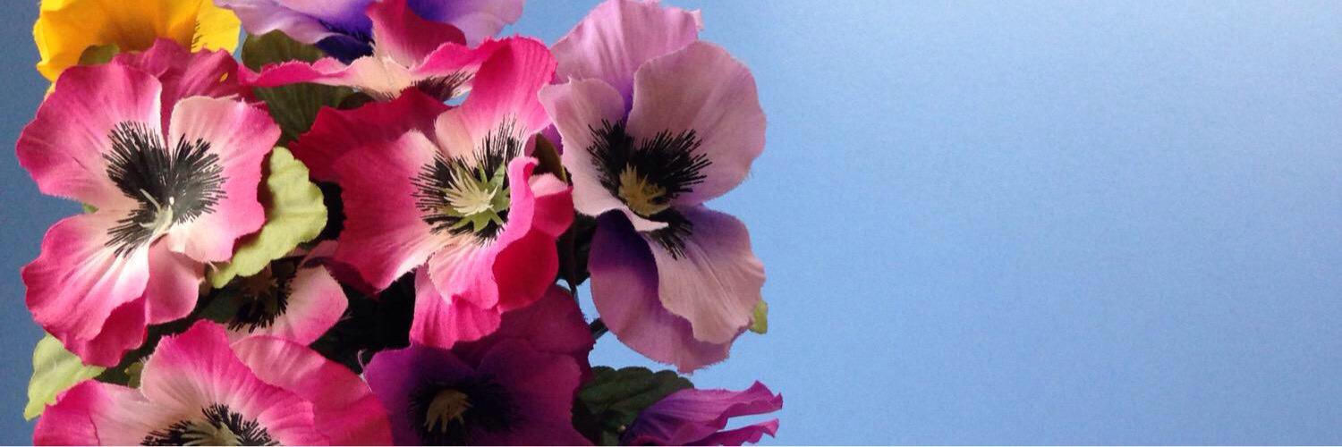 FeliceLBBH's profile banner image