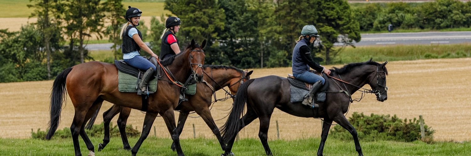 DaisyProvan's profile banner image