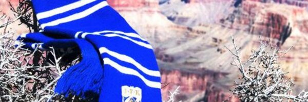 LCansby Profile Banner