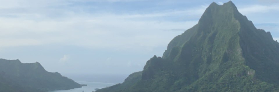 alcapinepne's profile banner image