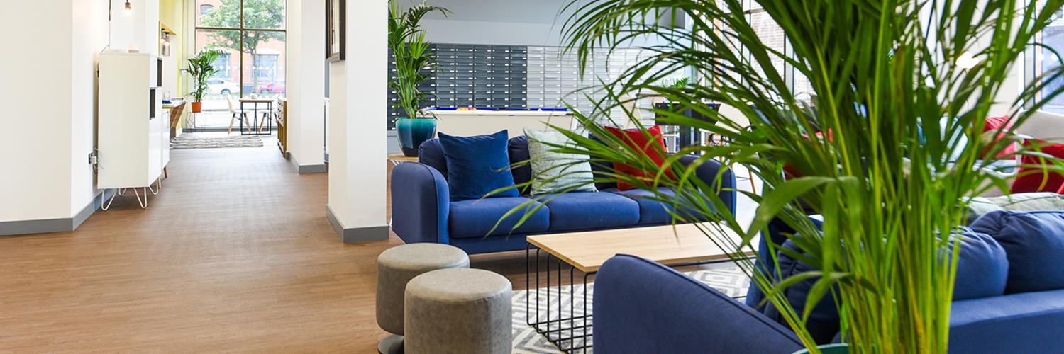StudentFurn's profile banner image