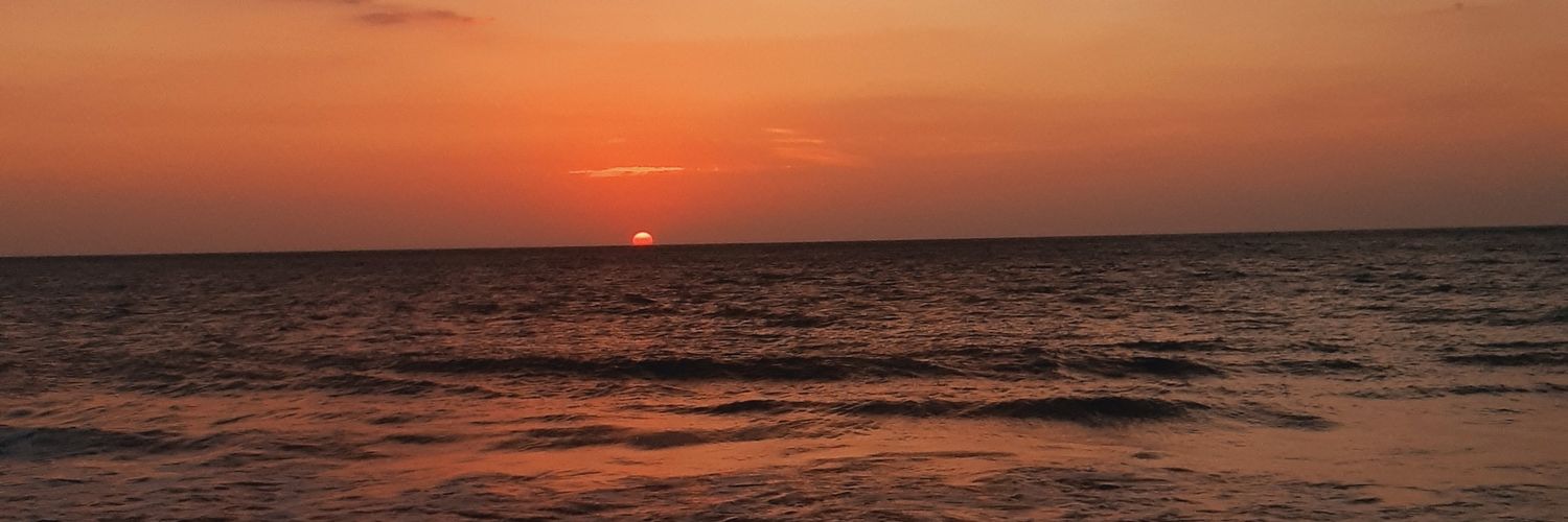 gabrielaaroo's profile banner image