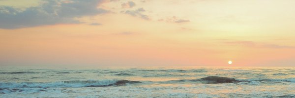 drsianrees Profile Banner