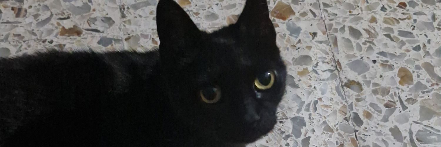 FNCPichiSape's profile banner image