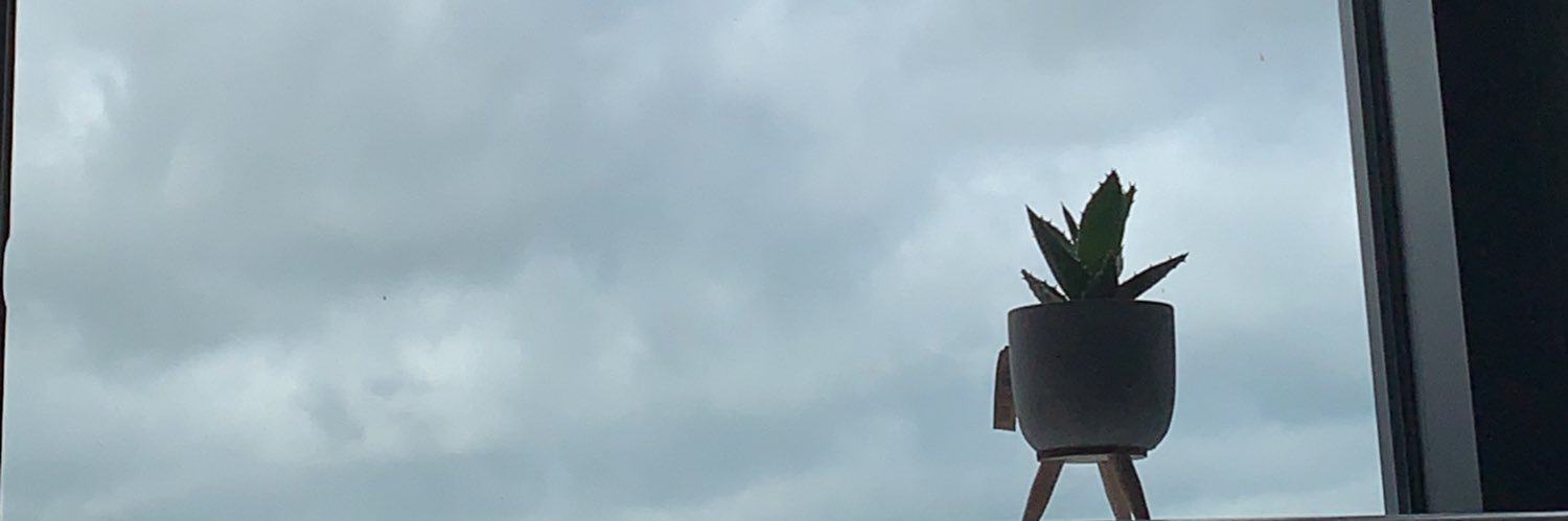 guishoros's profile banner image