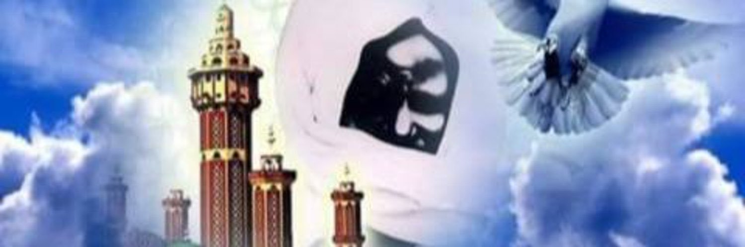 SMSARR's profile banner image