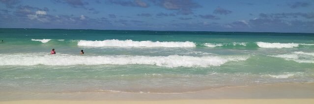 ✊🏽Michelle banner