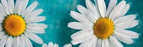 GnbUug's profile banner image