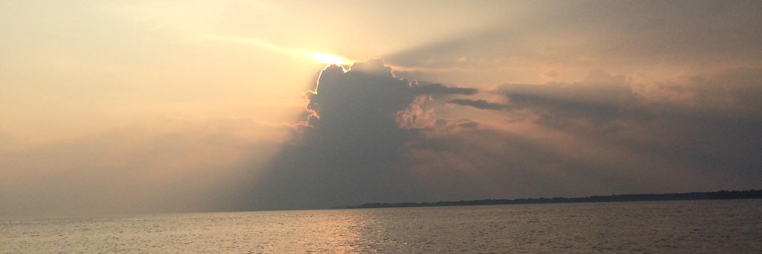 alidaniel_'s profile banner image