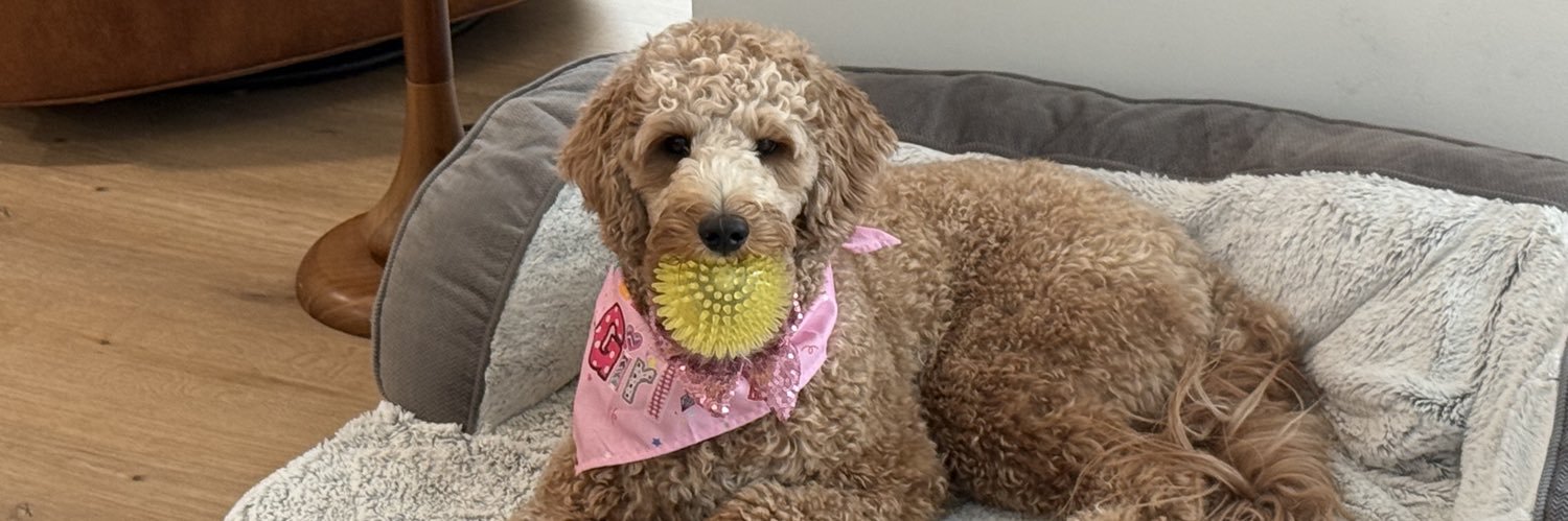 Andy Bloodworth banner