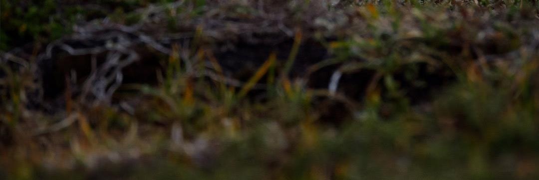 irskanth's profile banner image