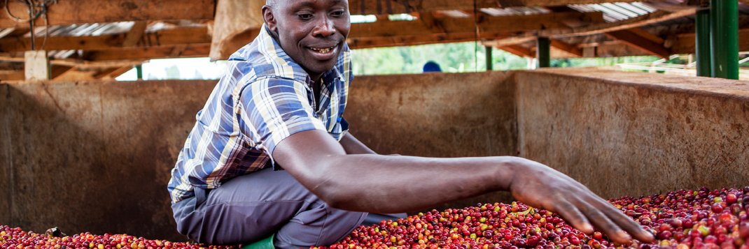 Genuine Origin Green Coffee banner