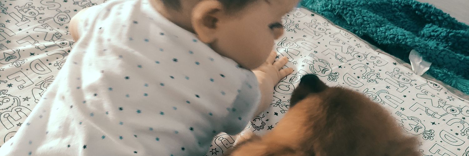 RocioLRO29's profile banner image