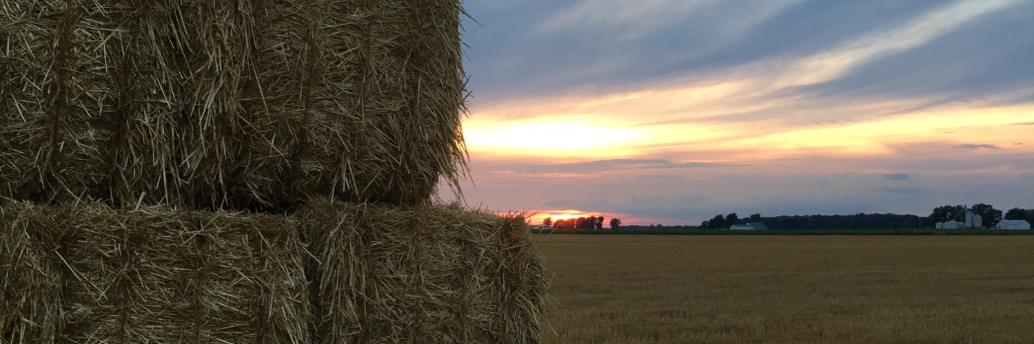 kelliathome's profile banner image