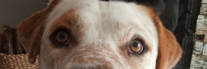 Anabelgr98's profile banner image