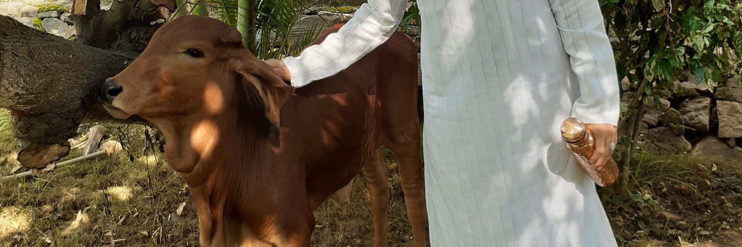 Aditya V Daga | Meditator banner