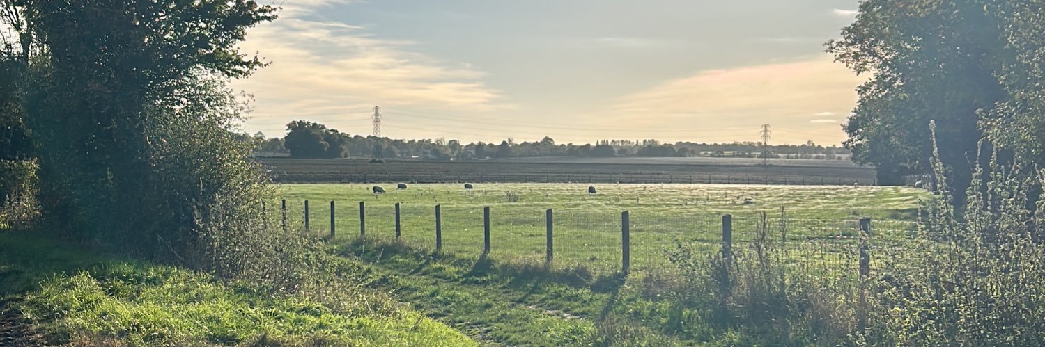 TomSillett's profile banner image