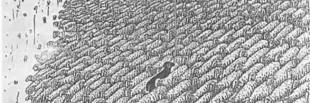 SupaApe's profile banner image