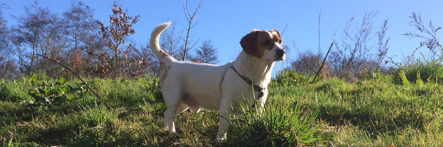 mozzington's profile banner image