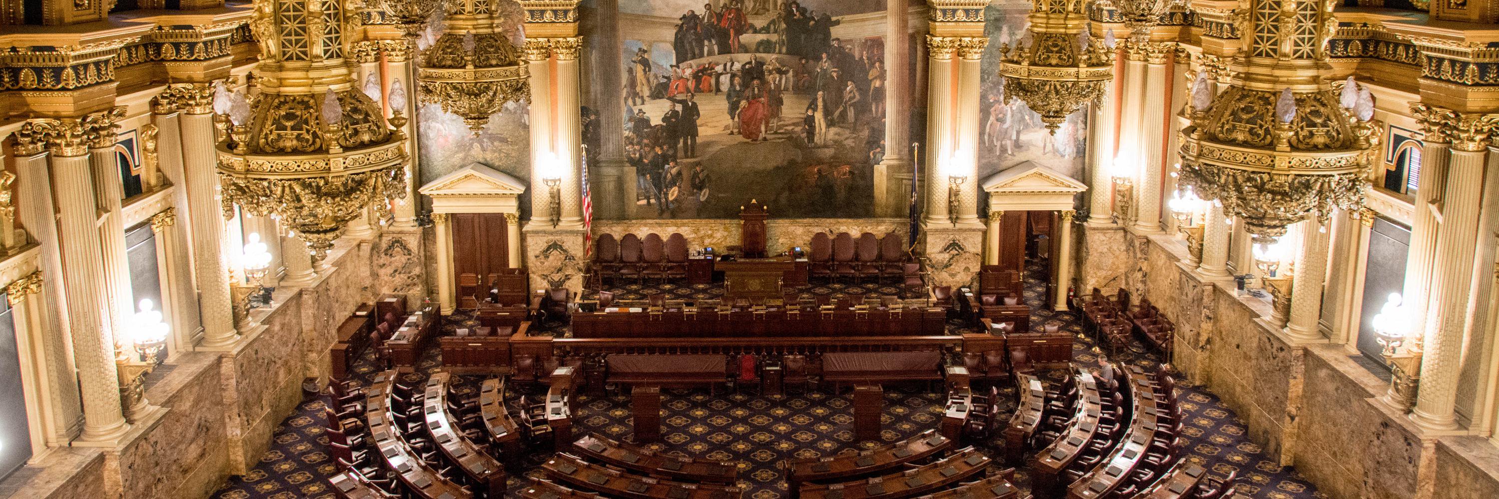 Rep. Rosemary Brown banner