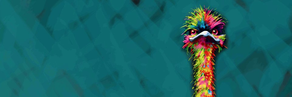 Bigachamo1's profile banner image