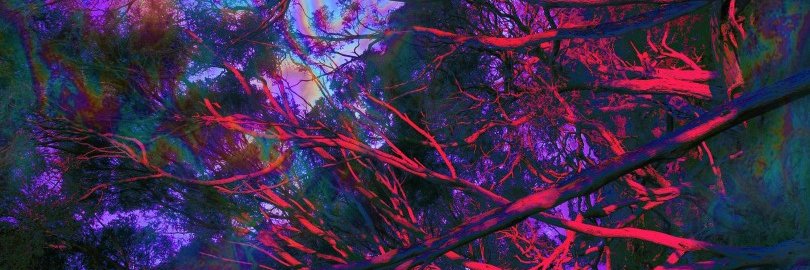 eadeve's profile banner image