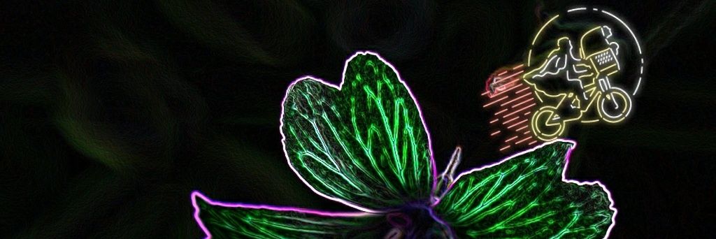 realctez810's profile banner image